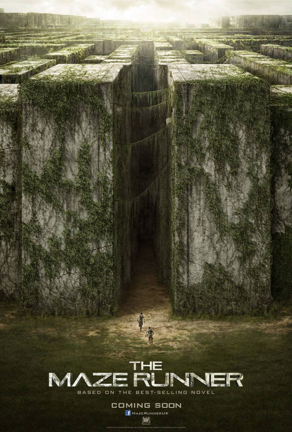 Бегущий в лабиринте / The Maze Runner (2014)